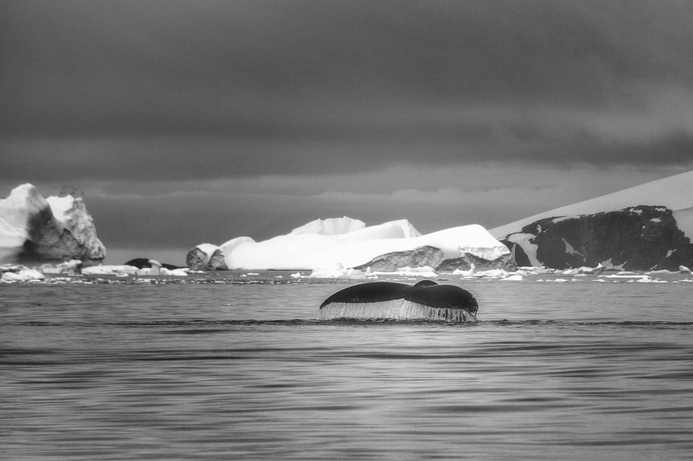 Photograph by Вячеслав Косенков