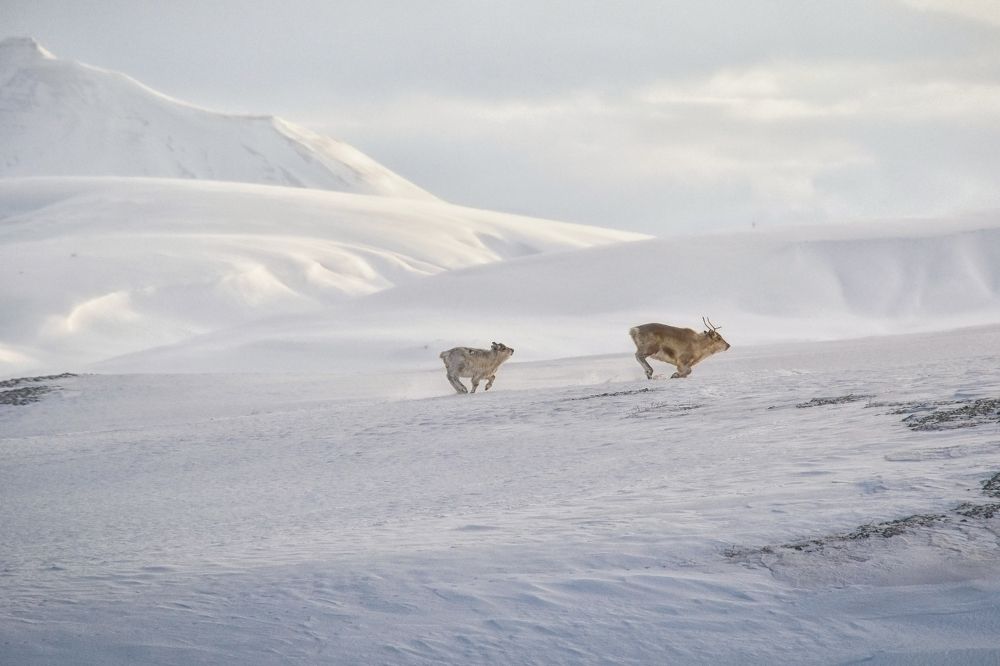 Photograph by Вячеслав Косенков