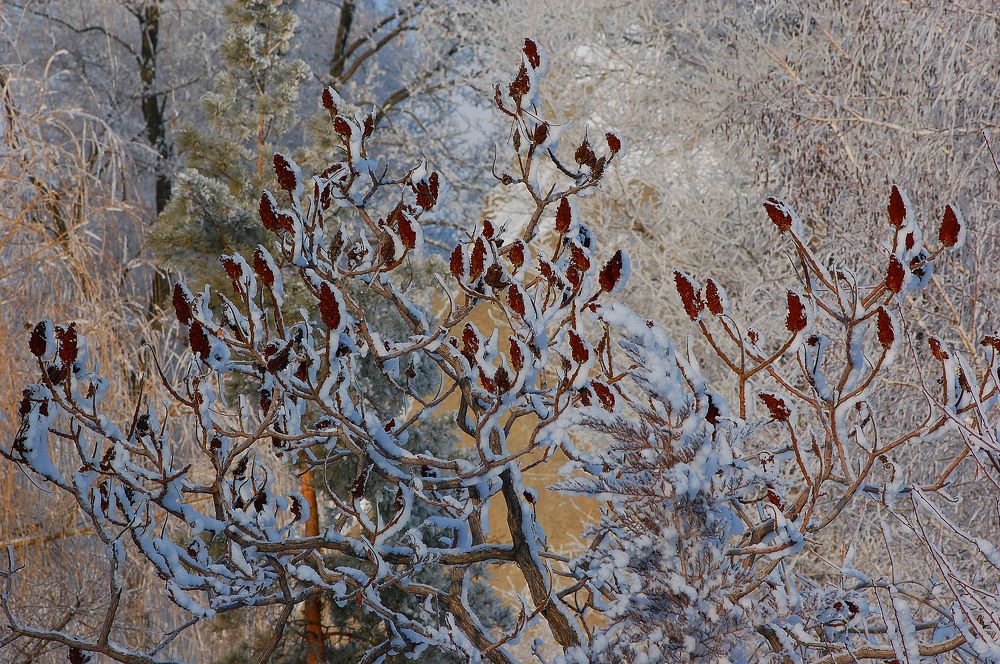 Photograph by Антон Громов