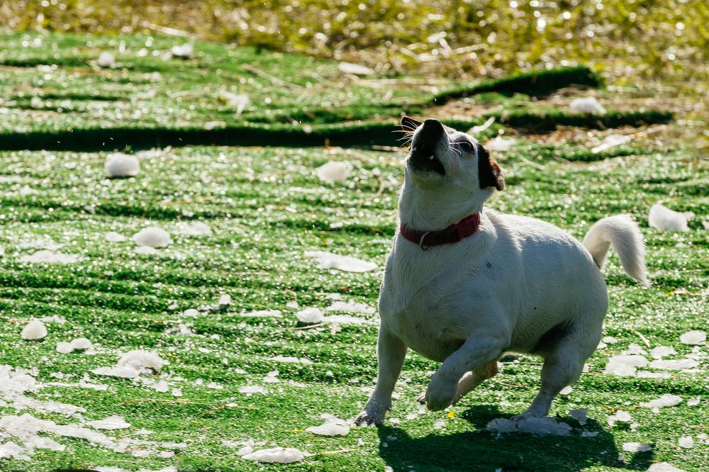 Photograph by София Онегина