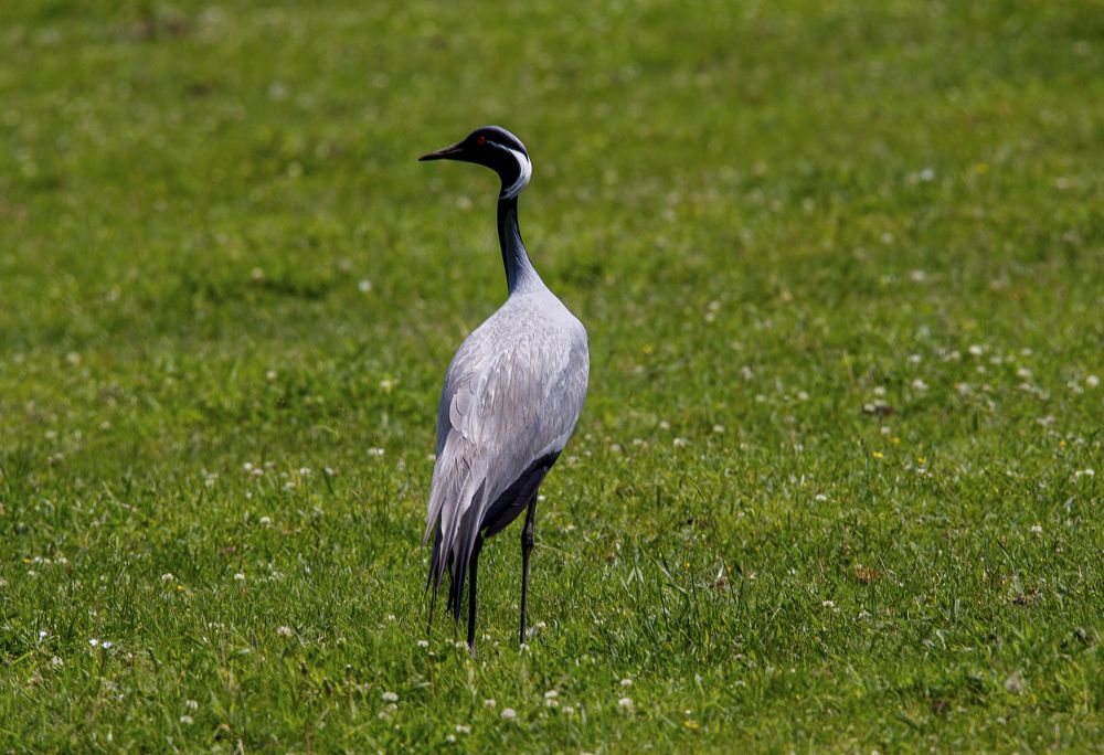 Photograph by Дмитрий Юдин