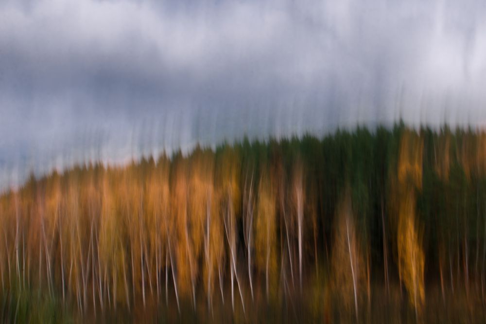 Photograph by Татьяна Псенкова