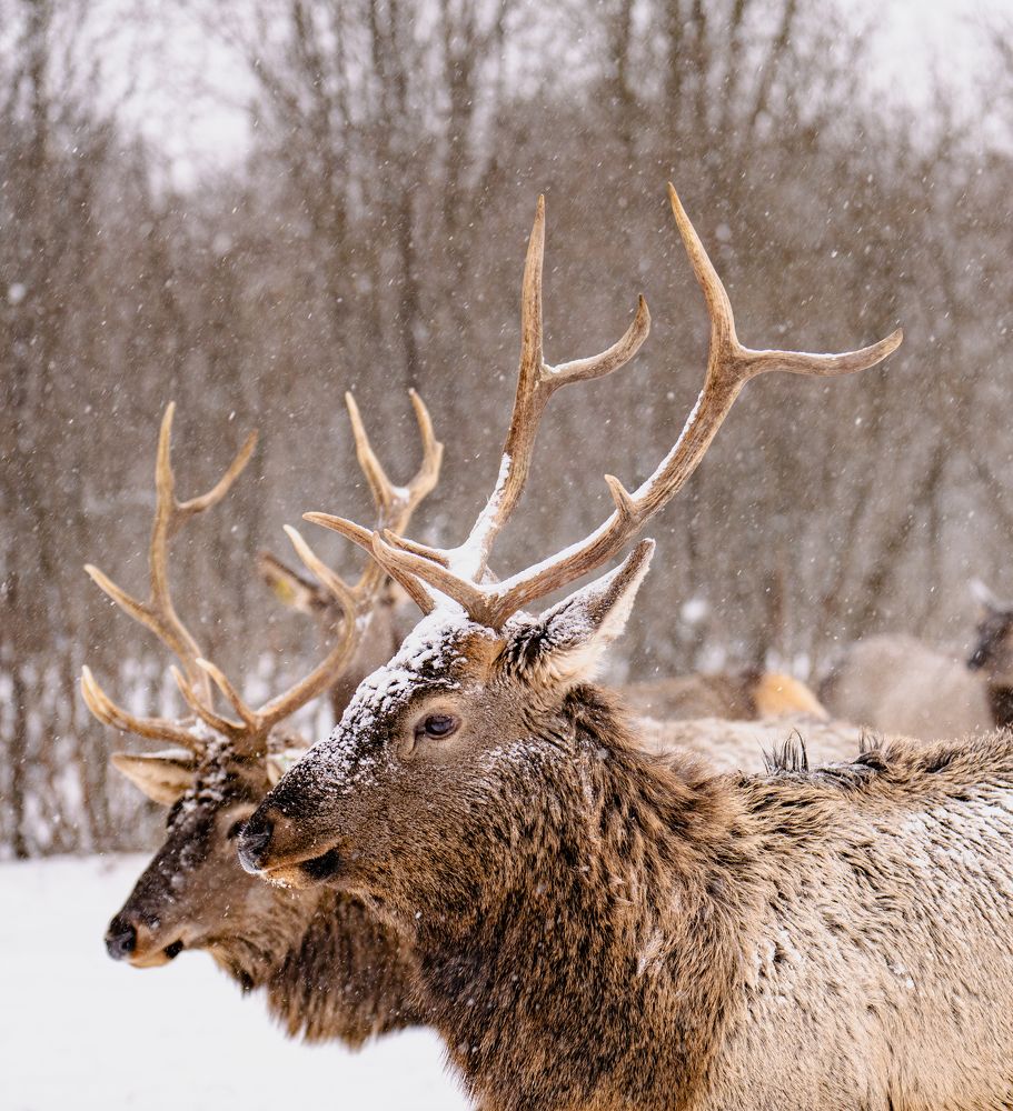 Photograph by Константин Яковлев