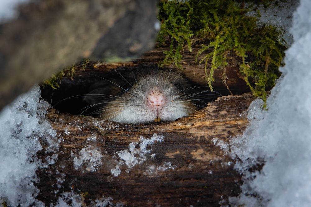 Photograph by Бурыкин Илья