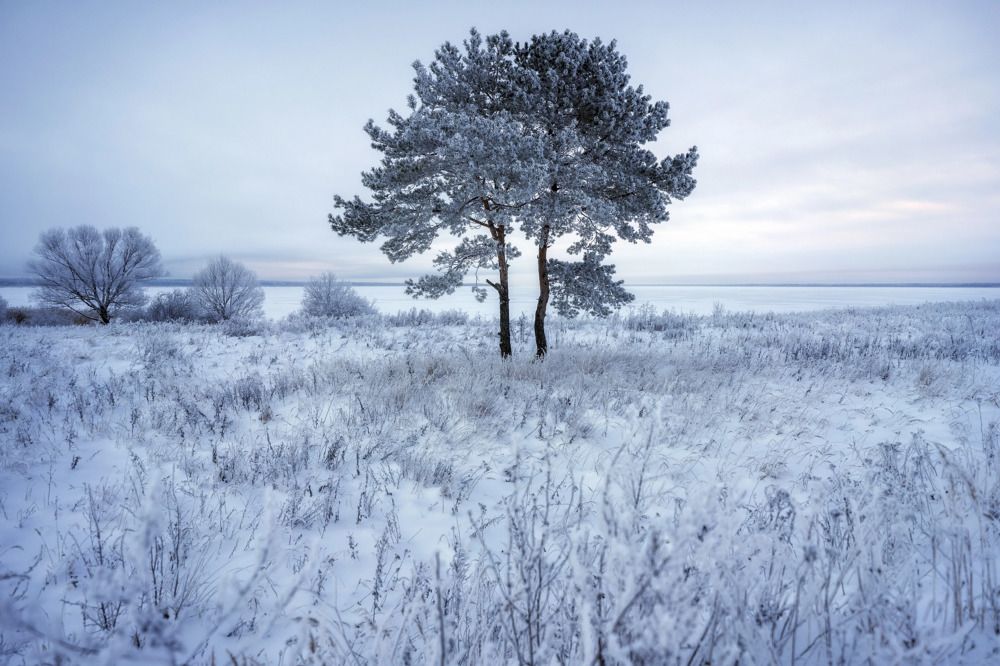 Photograph by Алексей Глухов