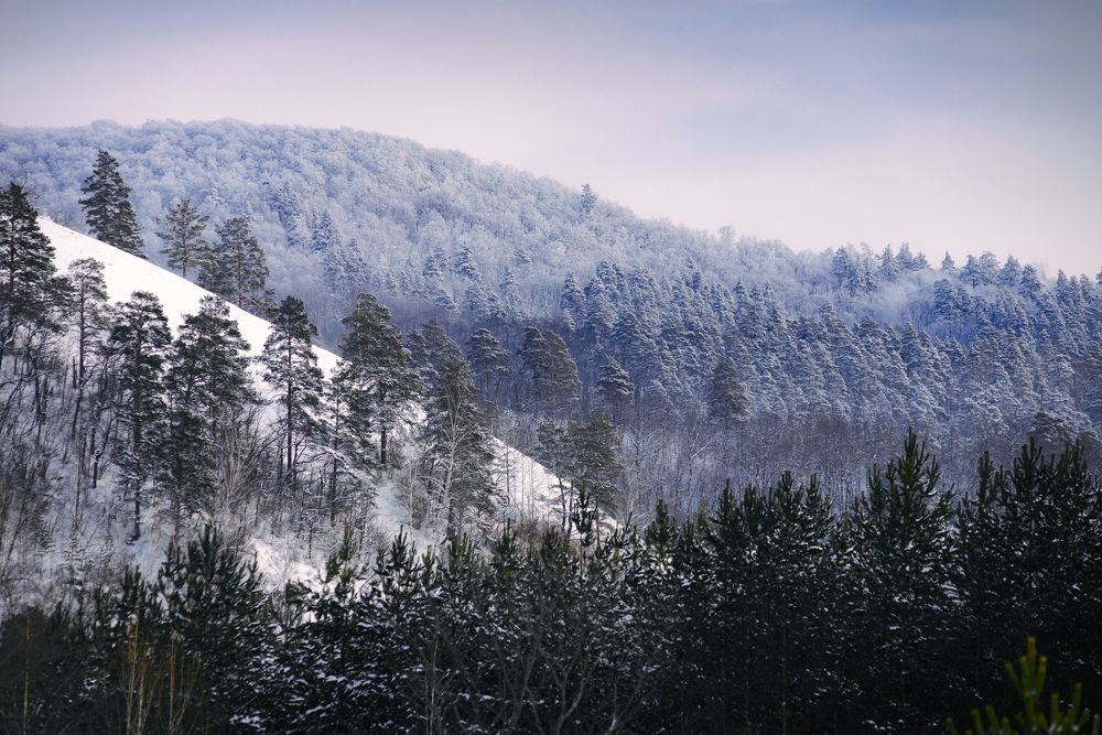 Photograph by Кулишев Николай