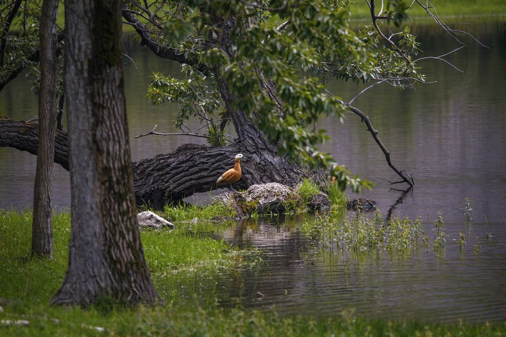 Photograph by Дмитрий Юдин