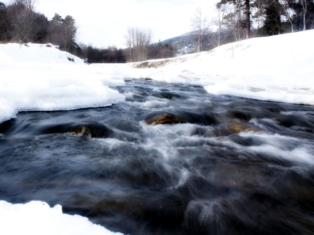 Photograph by Алексей Коношонкин