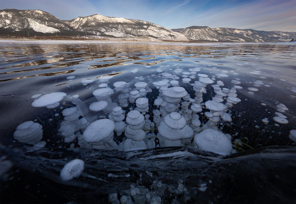 Photograph by Елена Вторушина