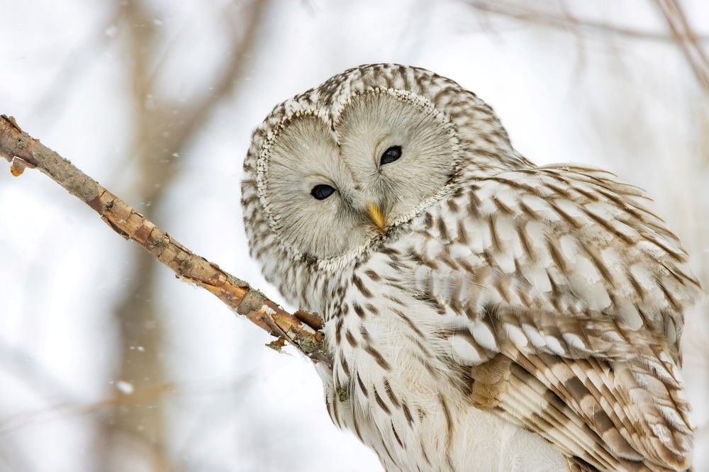 Photograph by Бурыкин Илья