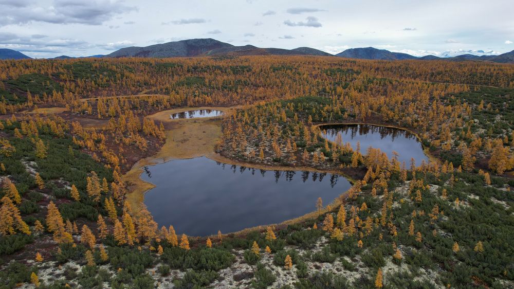 Photograph by Олег Смурыгин