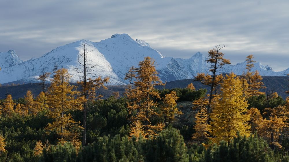 Photograph by Олег Смурыгин