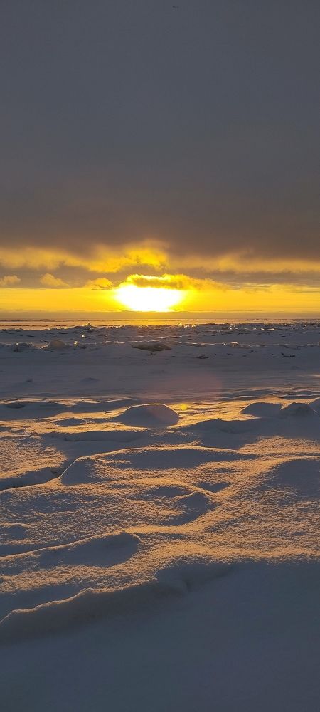 Photograph by Любовь Макарова