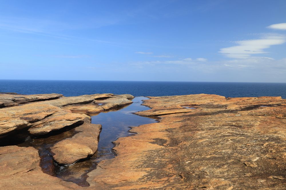 Photograph by Popa Alin