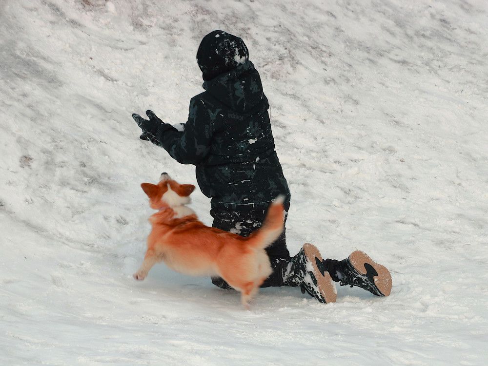 Photograph by Гагик Саркисян