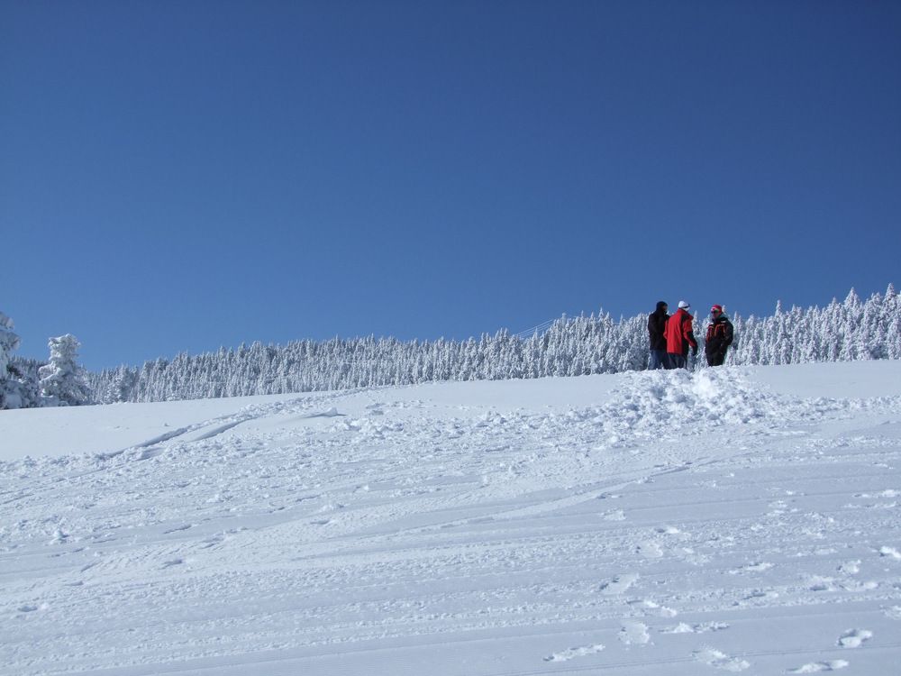 Photograph by Cengiz Yalcin