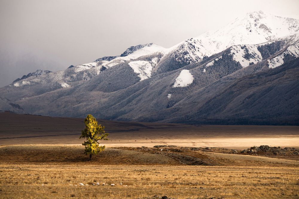 Фотография автора Катерина Осташева