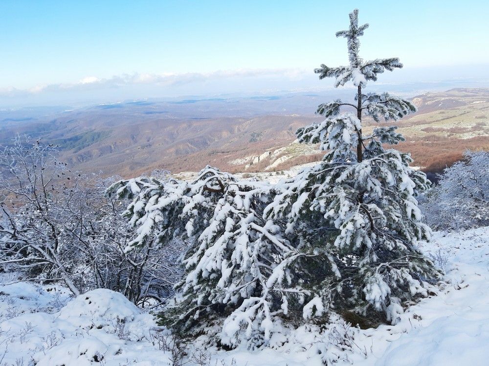 Photograph by Галина Глазкова