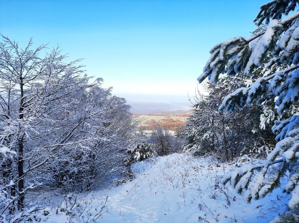 Photograph by Галина Глазкова