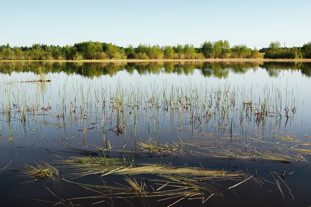 Photograph by Алена Крымова