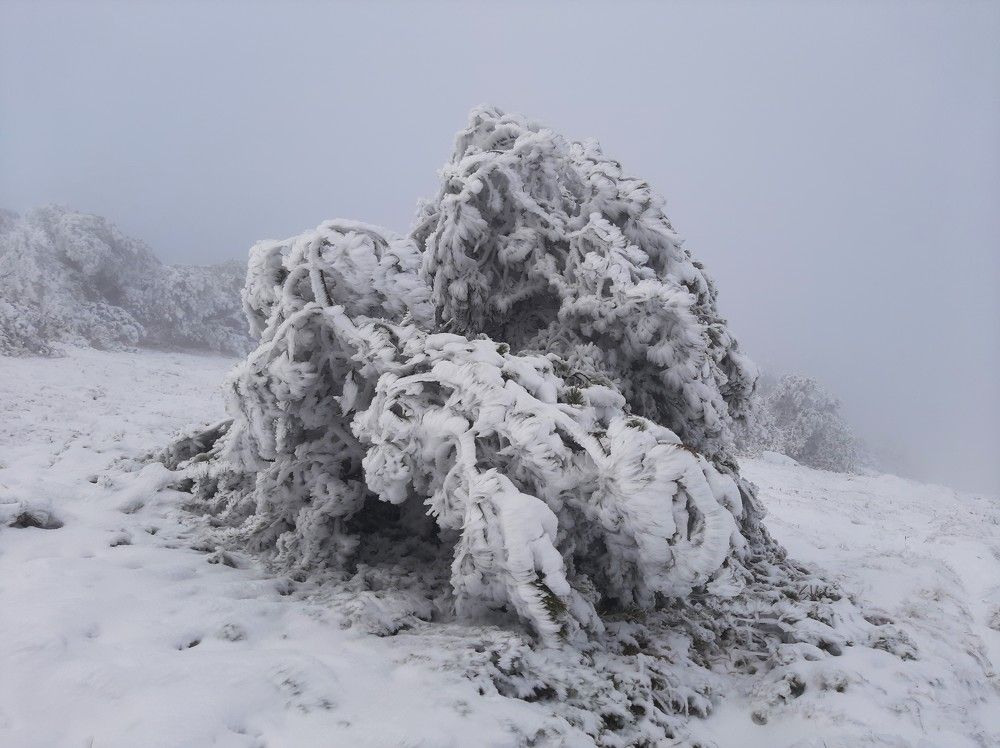 Photograph by Галина Глазкова