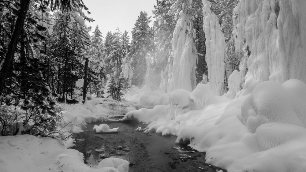 Photograph by Олег Смурыгин