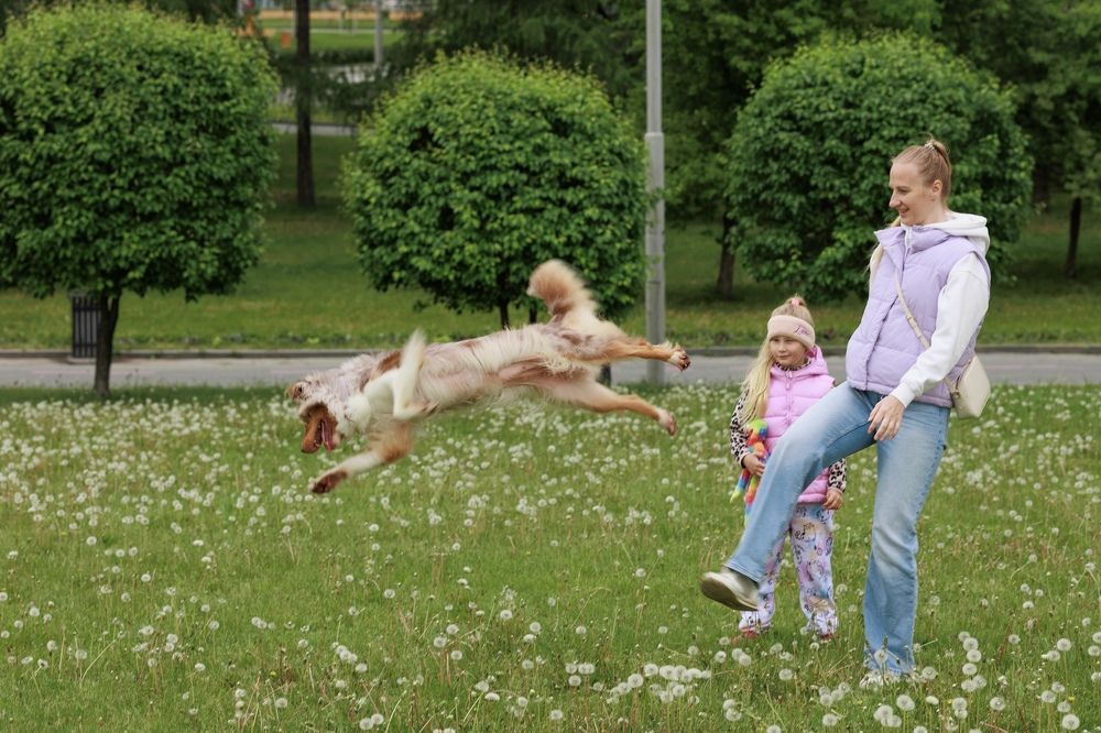 Фотография автора Александр П.