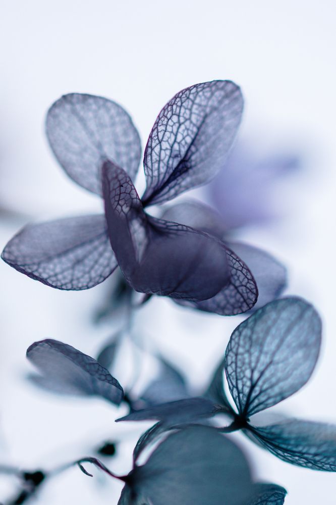 Photograph by Алёна Губинская