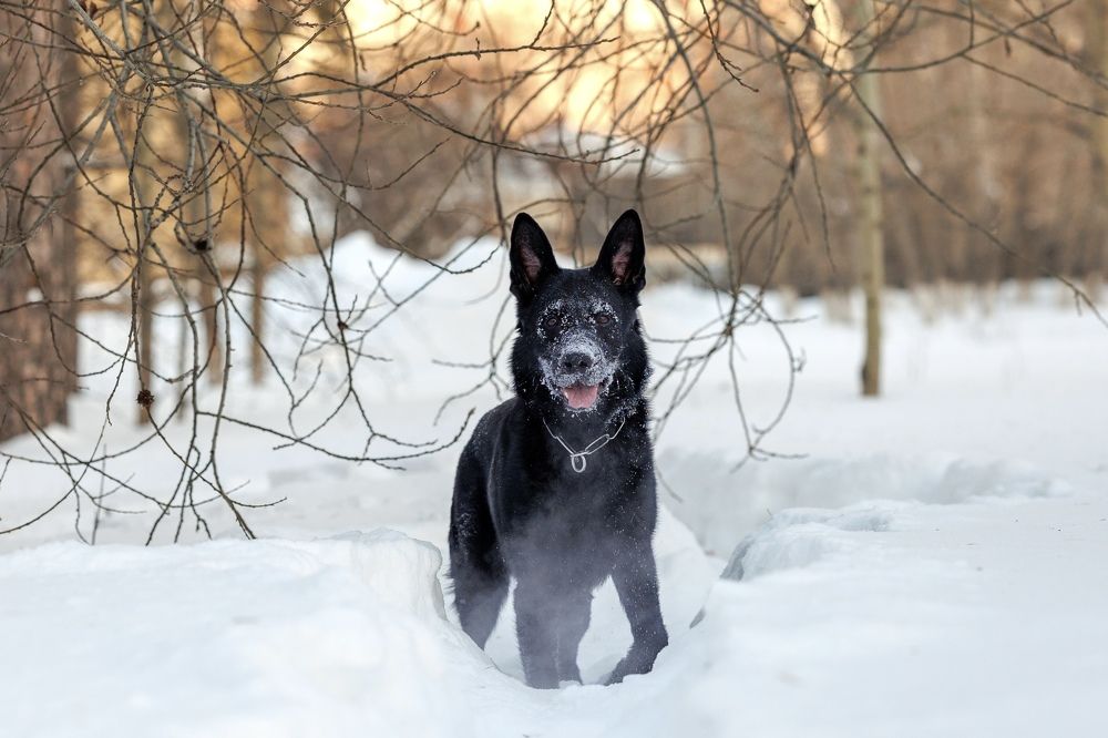 Фотография автора Александр П.