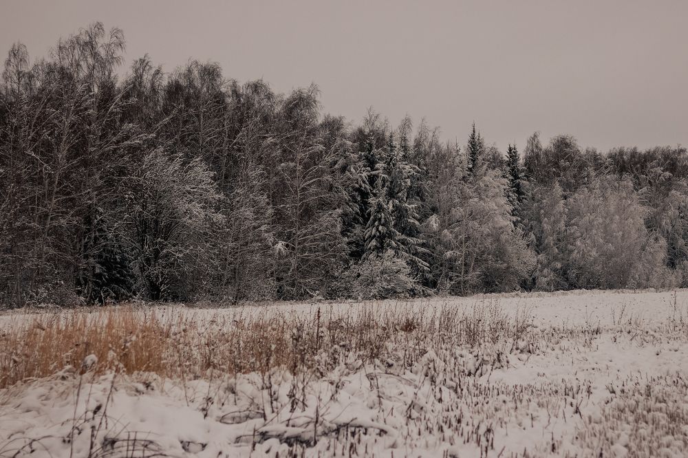 Photograph by Марина Слепова