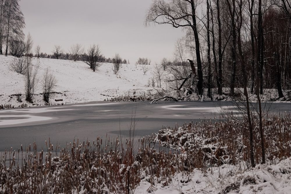 Photograph by Марина Слепова