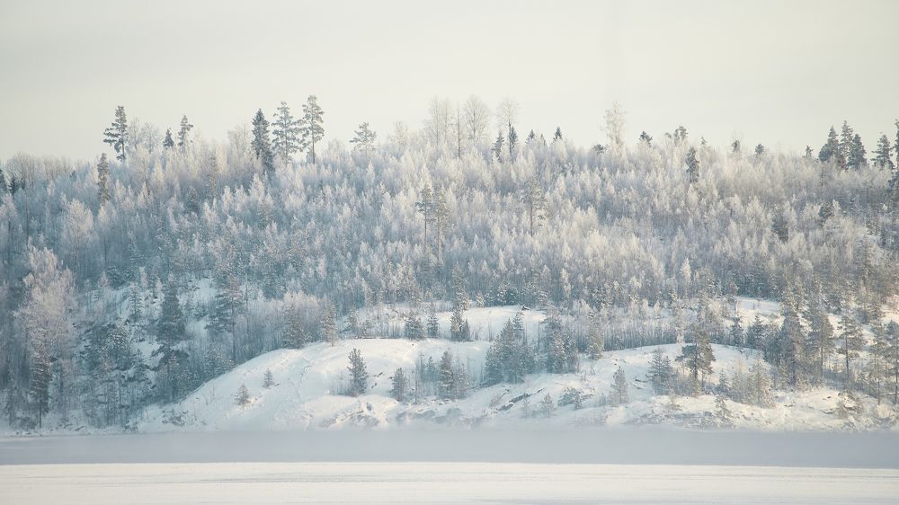 Photograph by Дмитрий Лепаков