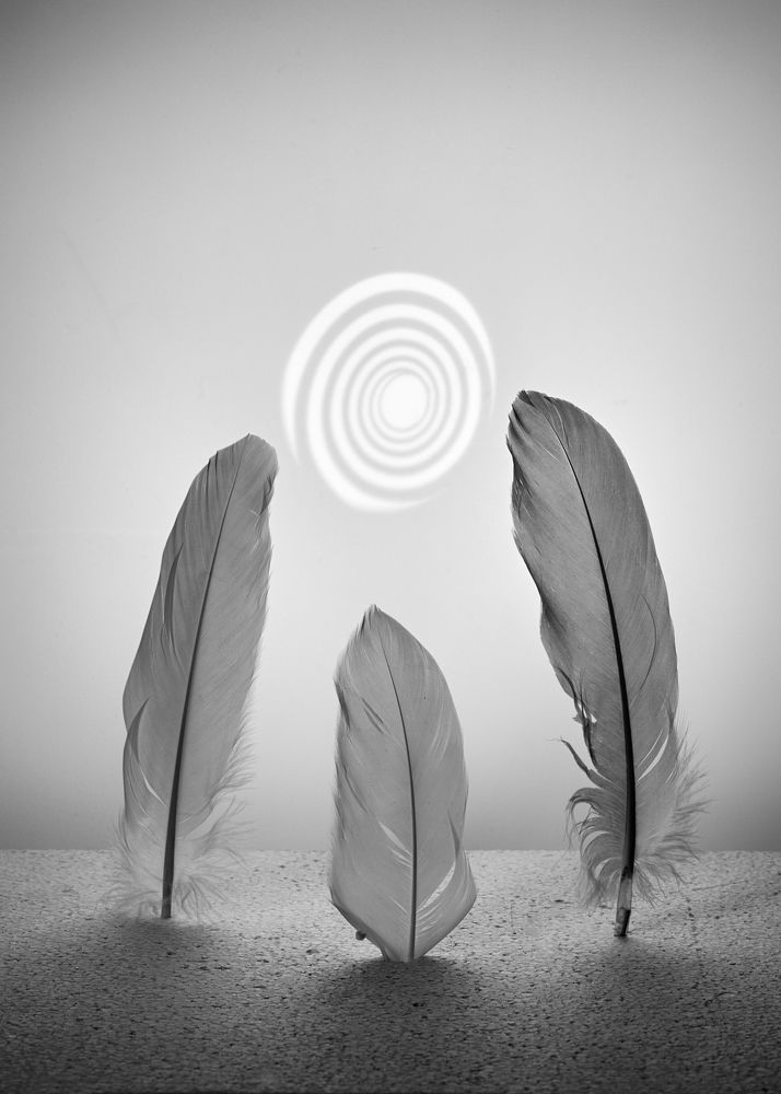 Фотография автора Владимир Борисов