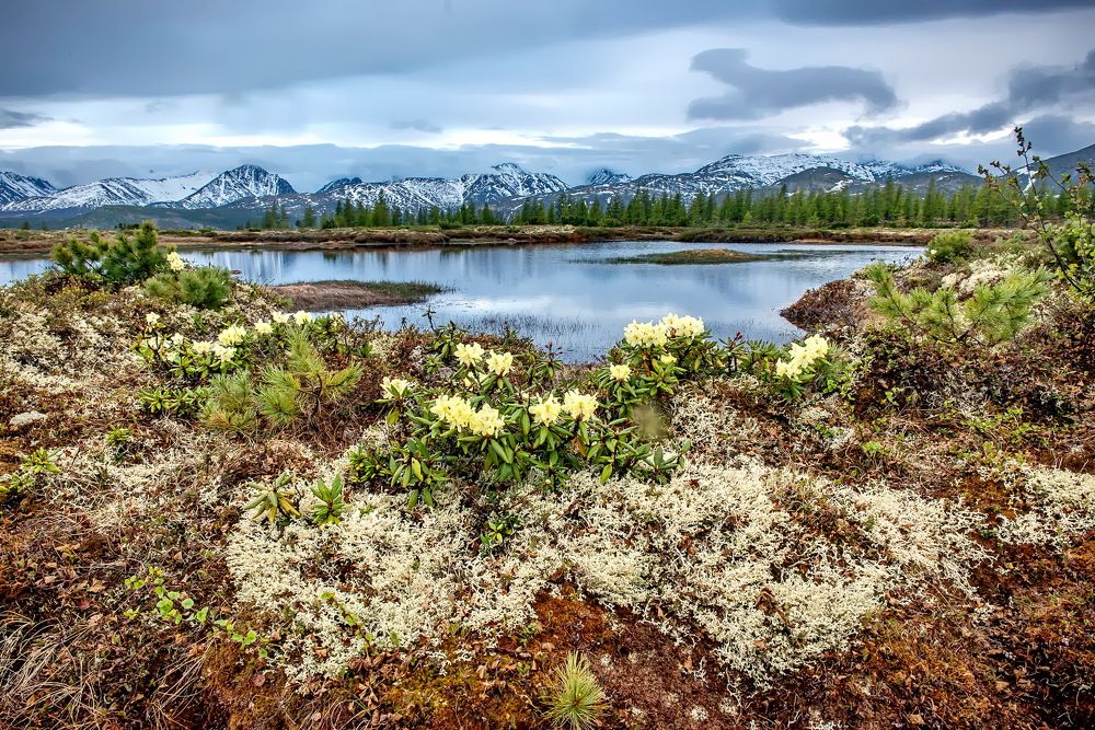 Photograph by Смирнов Валерий