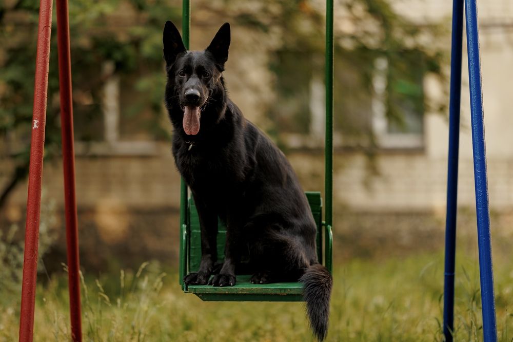 Фотография автора Александр П.