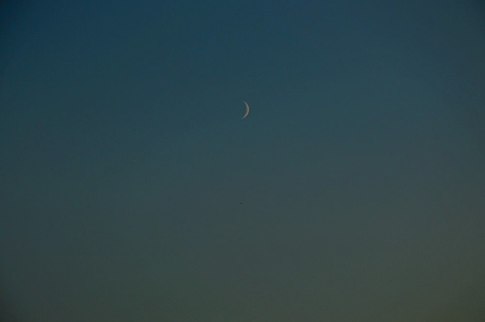 Photograph by Ольга Шевцова