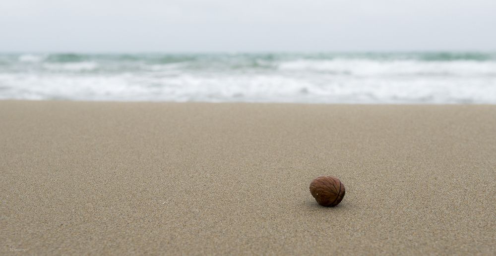 Photograph by Смирнов Валерий