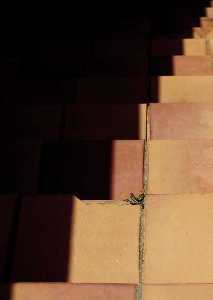 Photograph by Смирнов Валерий