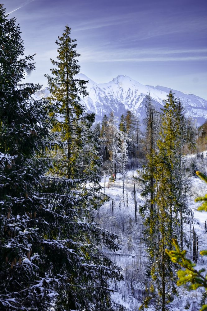 Photograph by Valdis Serzhans