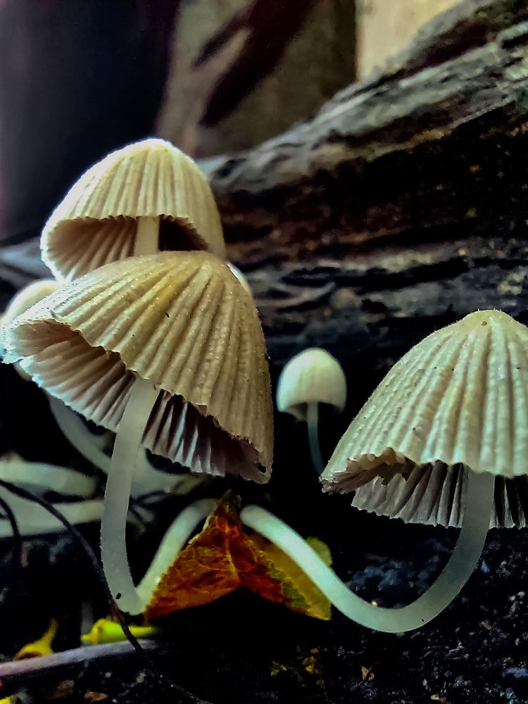 Photograph by Arina Nikitina