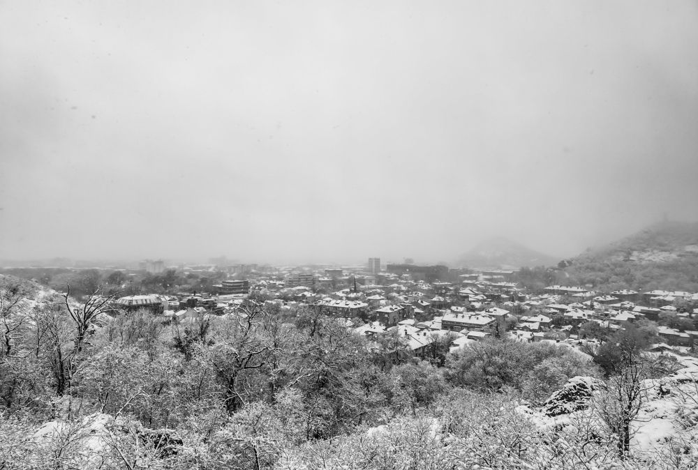 Photograph by Nikolay Draganov