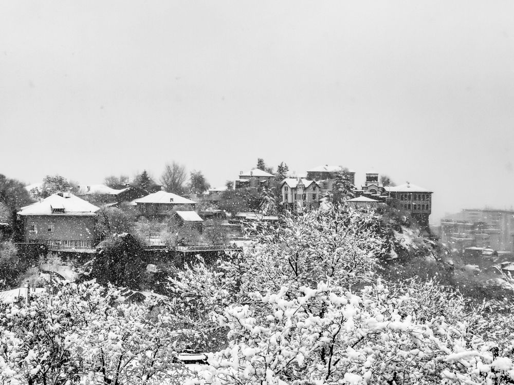 Photograph by Nikolay Draganov