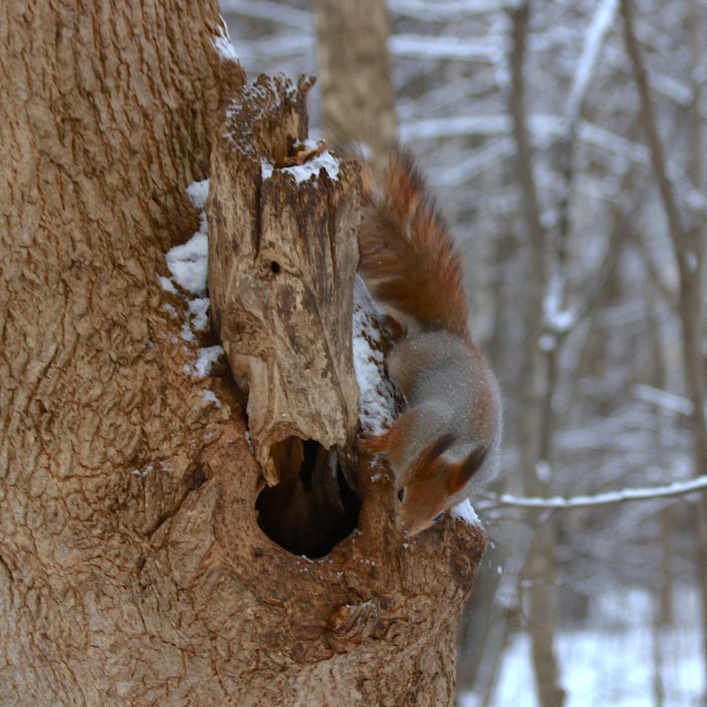 Photograph by Гагик Саркисян