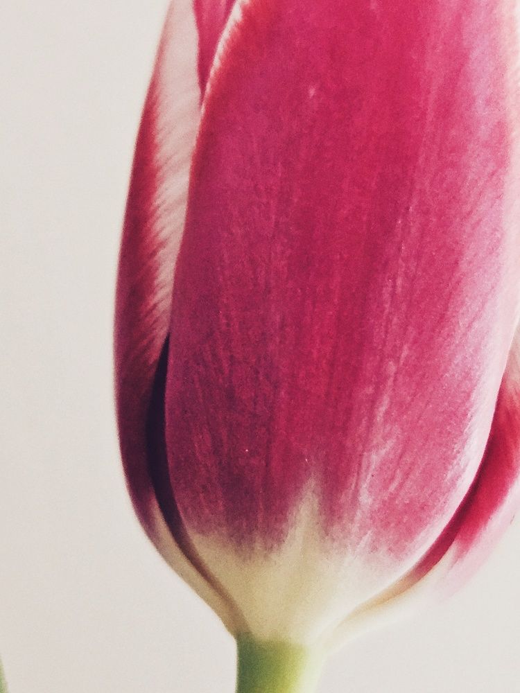 Photograph by Ольга Мандрыкина