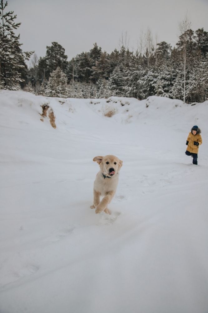 Фотография автора Дарина Чечулина