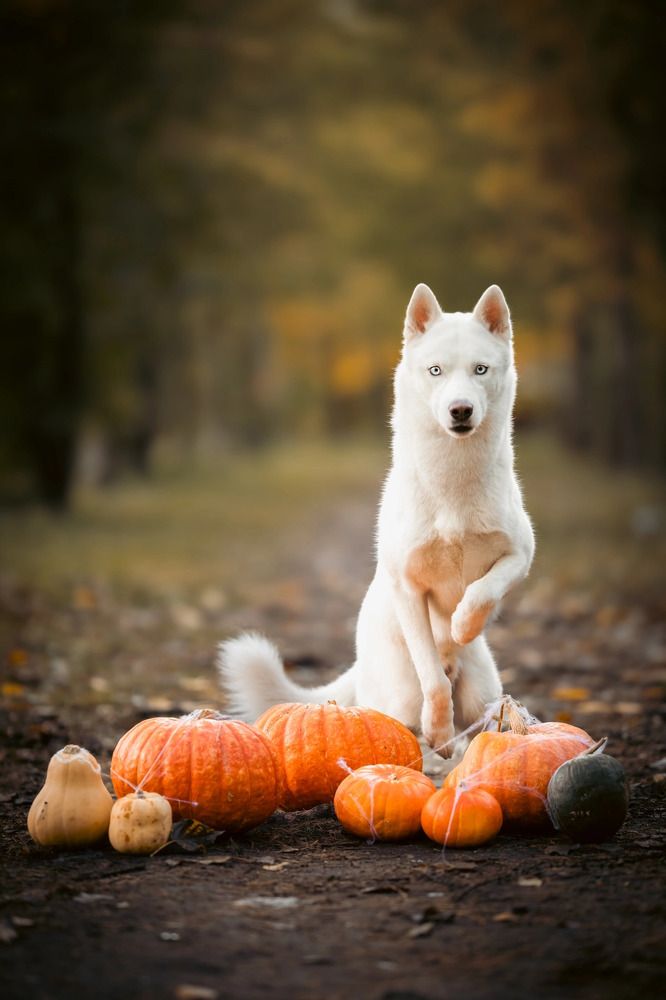 Photograph by Мария Романова