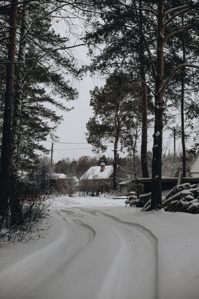 Фотография автора Дарина Чечулина