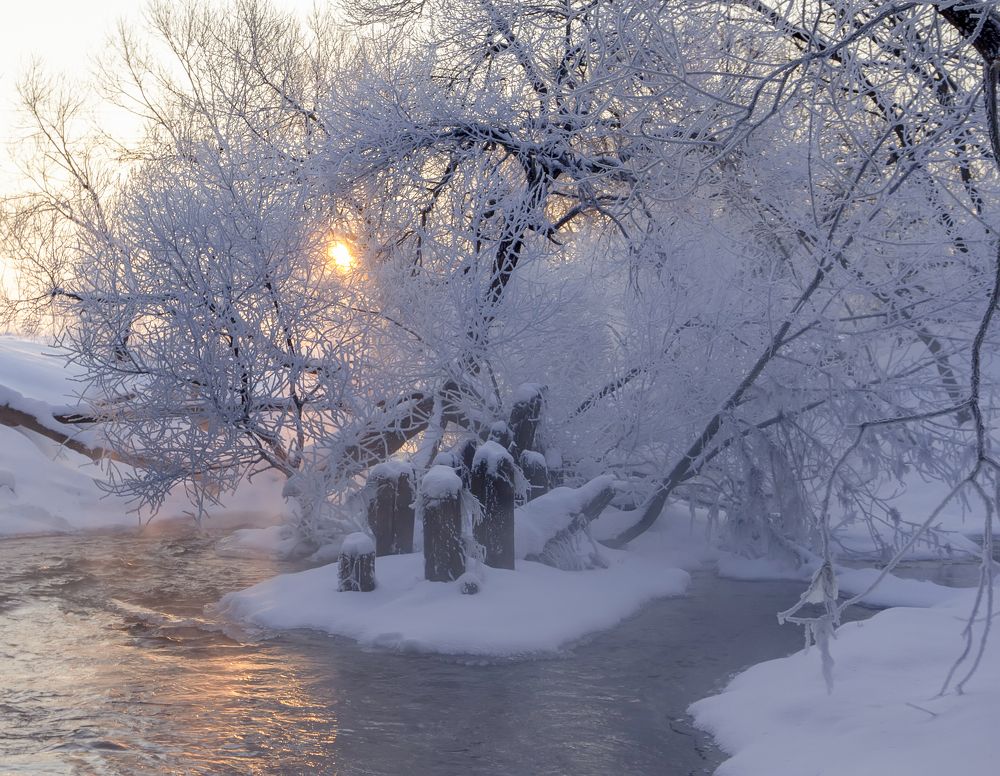 Photograph by Татьяна Феденкова