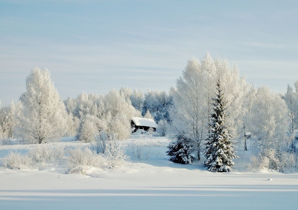 Photograph by Виктор Решетников