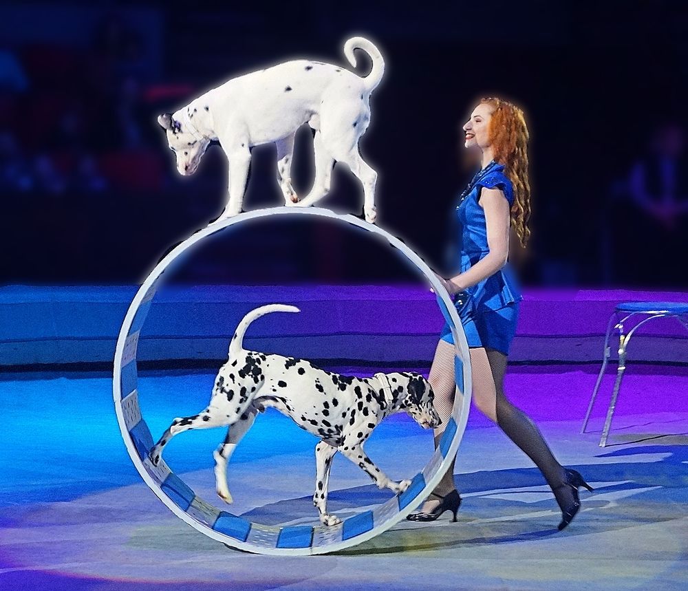 Photograph by Светлана Логинова